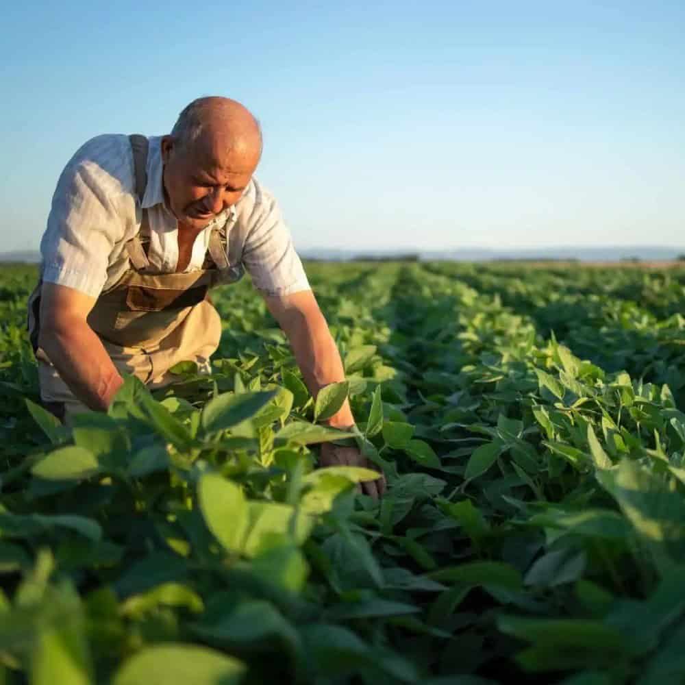 Farm Insurance Texas