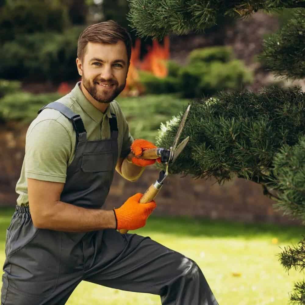 Landscaping Insurance Texas
