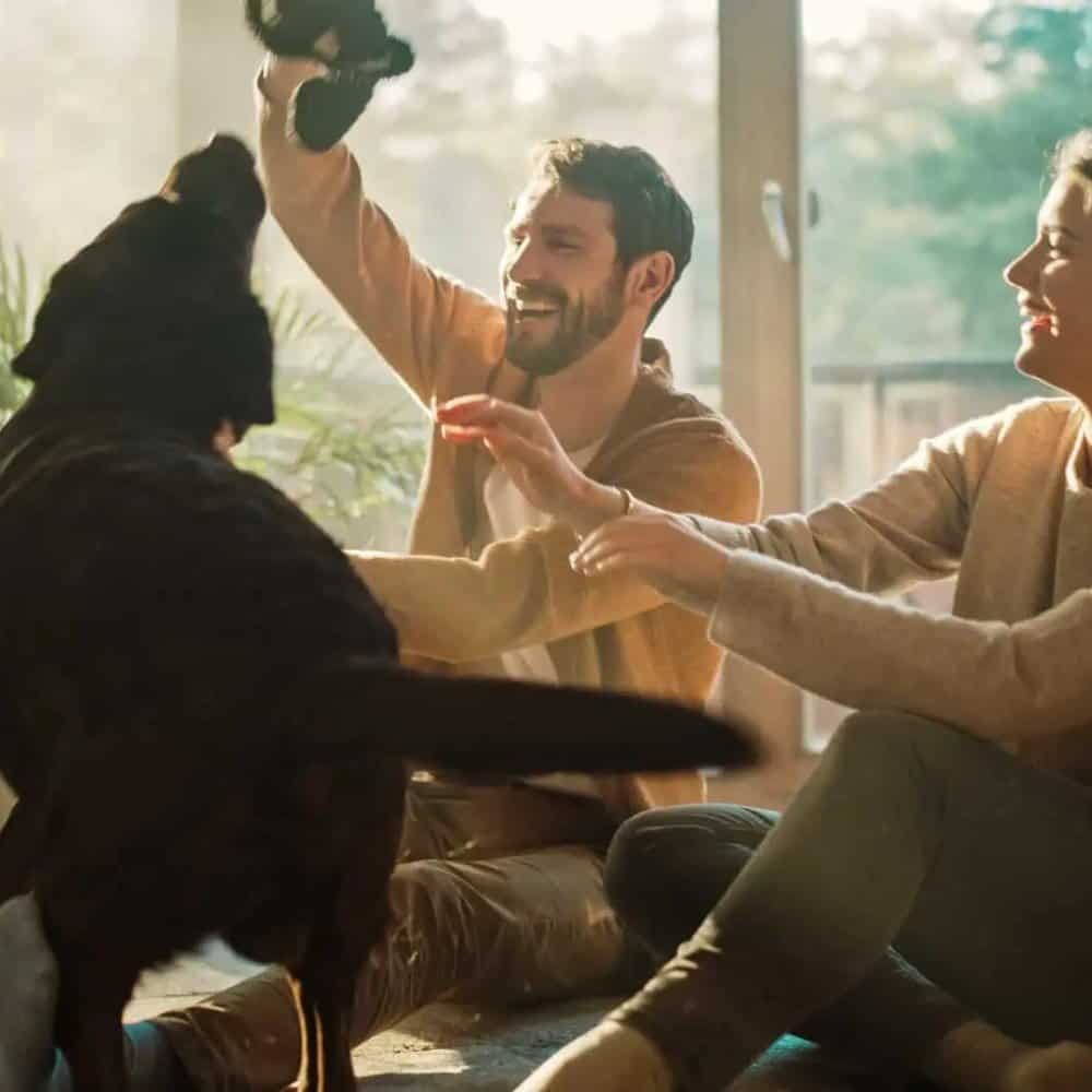 Personal Umbrella Insurance Texas