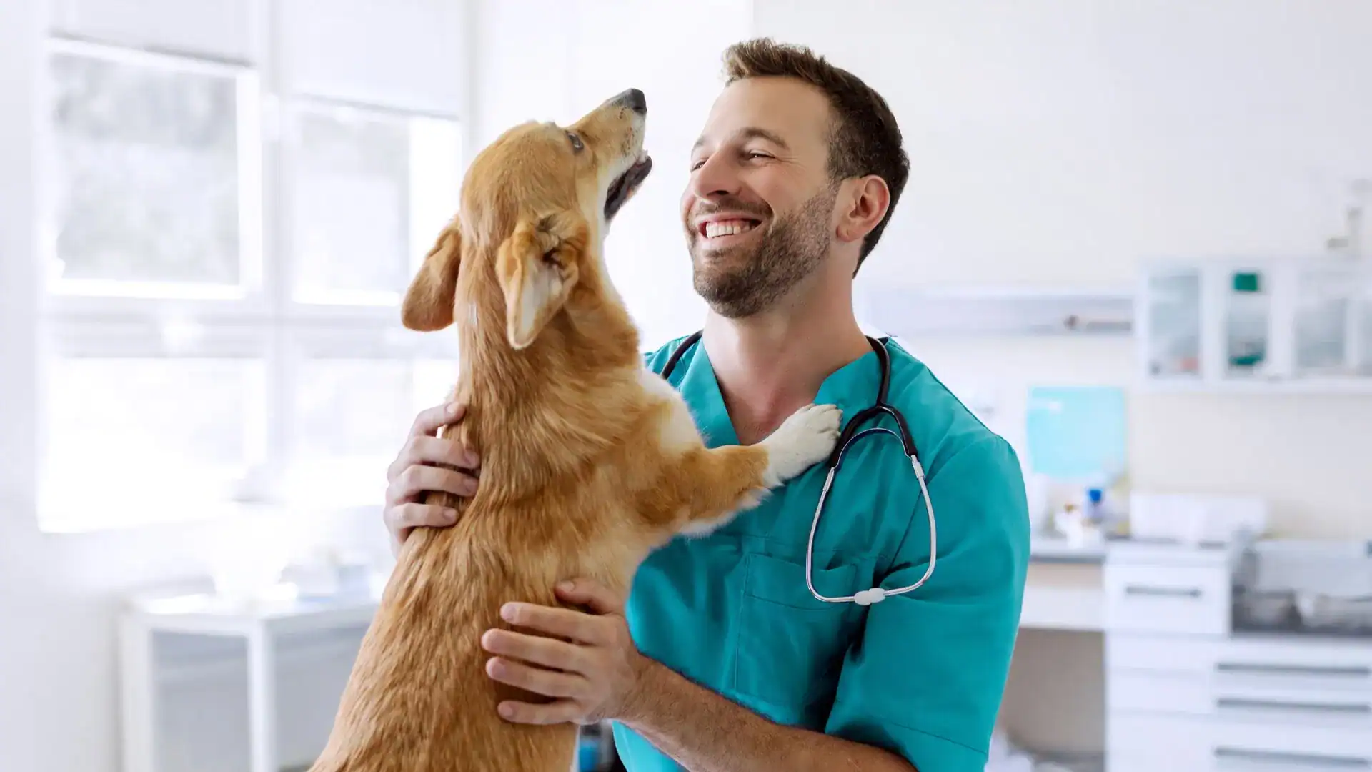Vet Clinic Insurance Texas