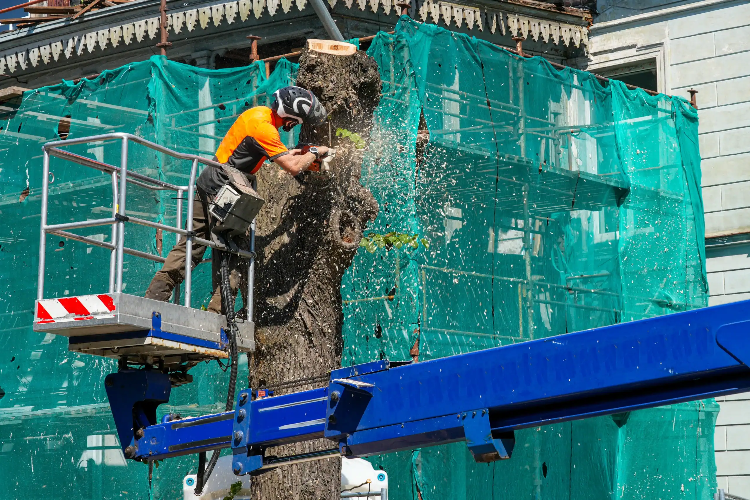 Arborist performing tree trimming on a lift with safety gear.